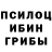 Галлюциногенные грибы мицелий Kirill Golovenko