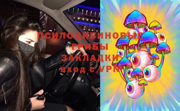 mdpv Краснотурьинск