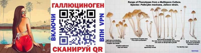 Галлюциногенные грибы MAGIC MUSHROOMS  где купить   Химки 